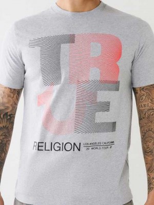 True Religion Fodrade Logo T-shirt Herr Grå | YIE219863