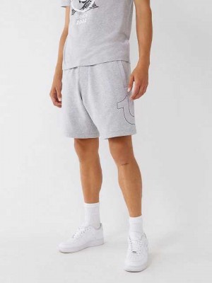 True Religion Horseshoe Sweat Shorts Herr Grå | EHI163407