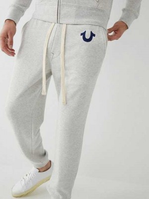 True Religion Klassiska Logo Joggingbyxor Herr Beige | MWH485062