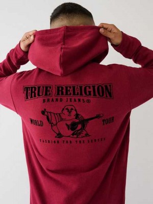 True Religion Klassiska Logo Zip Hoodie Herr Röda Blå Grå | QGM937058