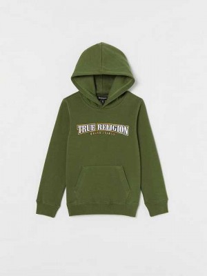 True Religion Logo Hoodie Barn Bruna Gröna | VSJ241385