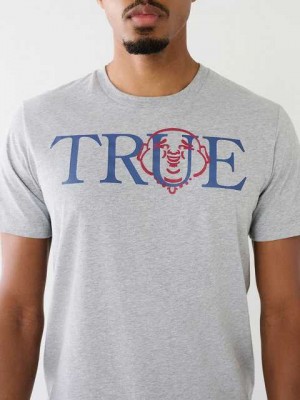 True Religion True Buddha Logo T-shirt Herr Grå | AOE173068