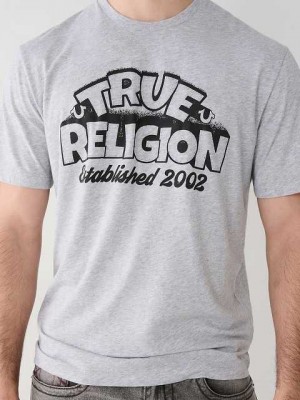 True Religion True Relaxed T-shirt Herr Grå | PNV843106