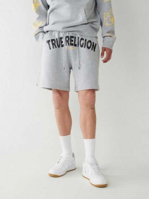 True Religion True Sweat Shorts Herr Grå | EOQ103925