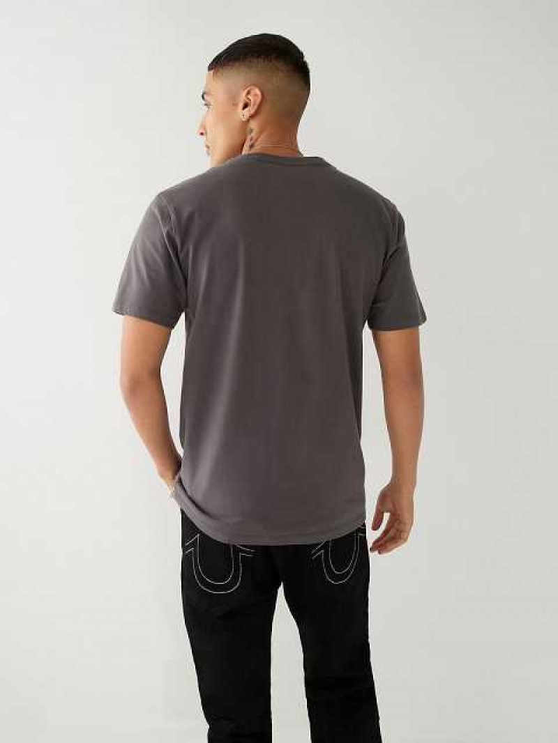 True Religion Buddha Logo T-shirt Herr Grå | PUL071465