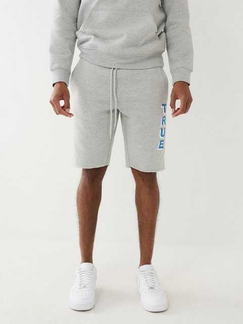 True Religion Flocked True Logo Fleece Raw Hem Shorts Herr Grå | TXE258793