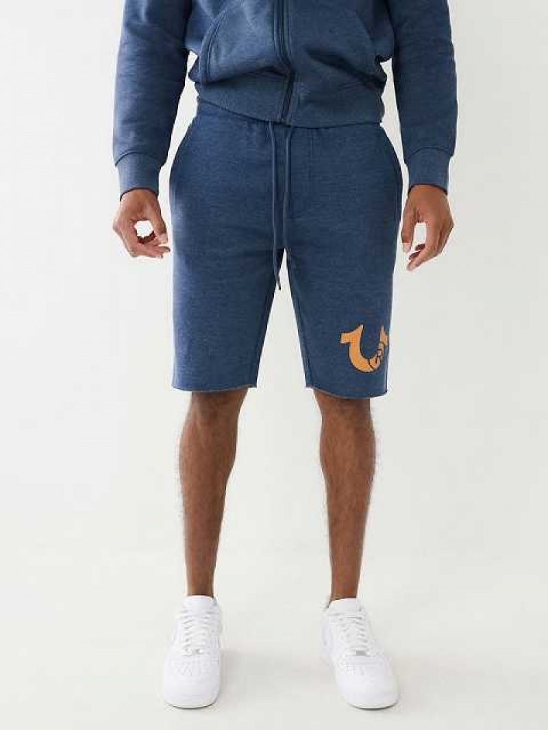 True Religion Horseshoe Logo Raw Hem Shorts Herr Grå Marinblå | QEN829413