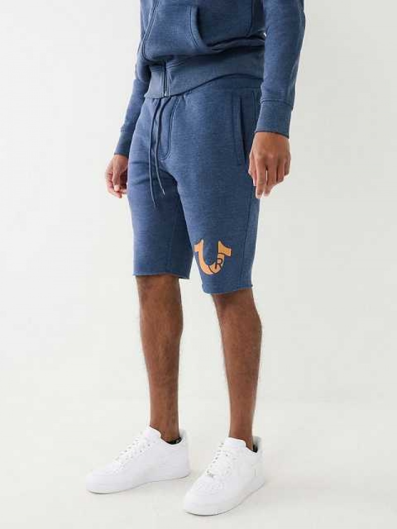 True Religion Horseshoe Logo Raw Hem Shorts Herr Grå Marinblå | QEN829413