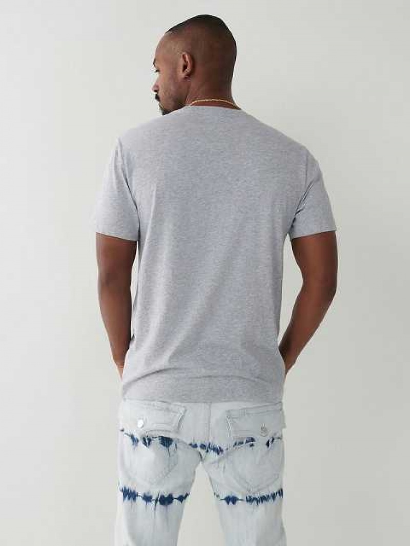 True Religion Horseshoe Logo T-shirt Herr Grå | CPF207395