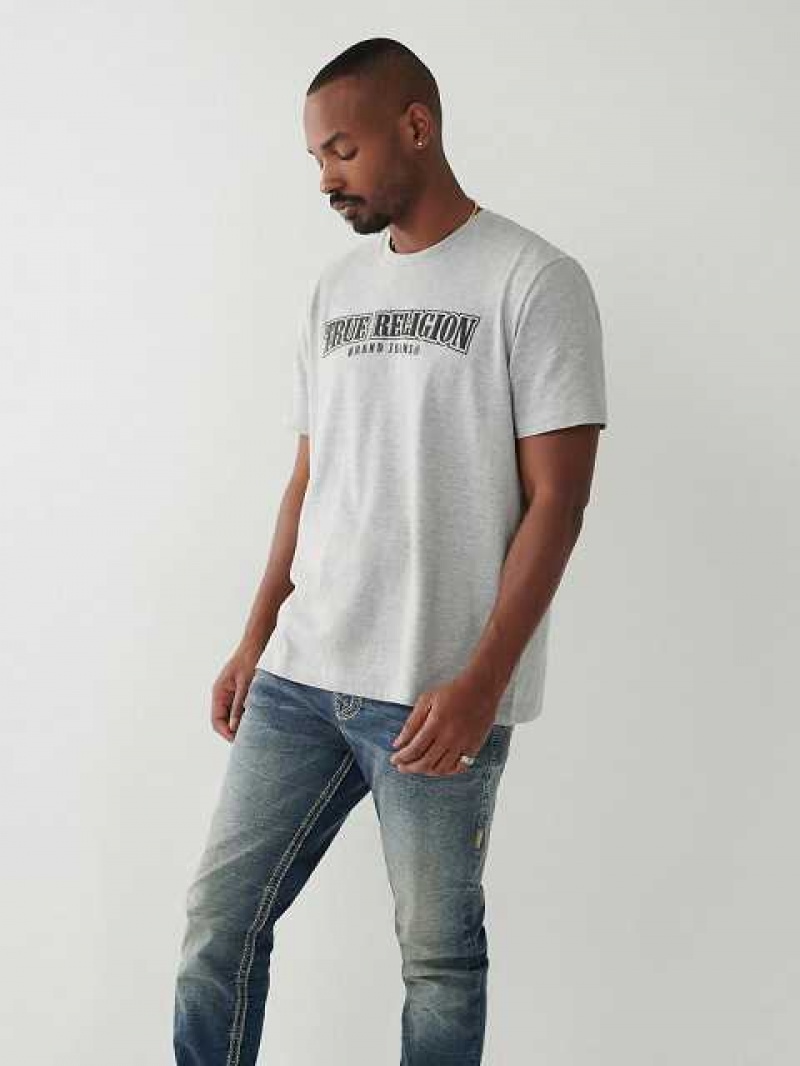 True Religion Horseshoe Relaxed T-shirt Herr Grå | QRI510943