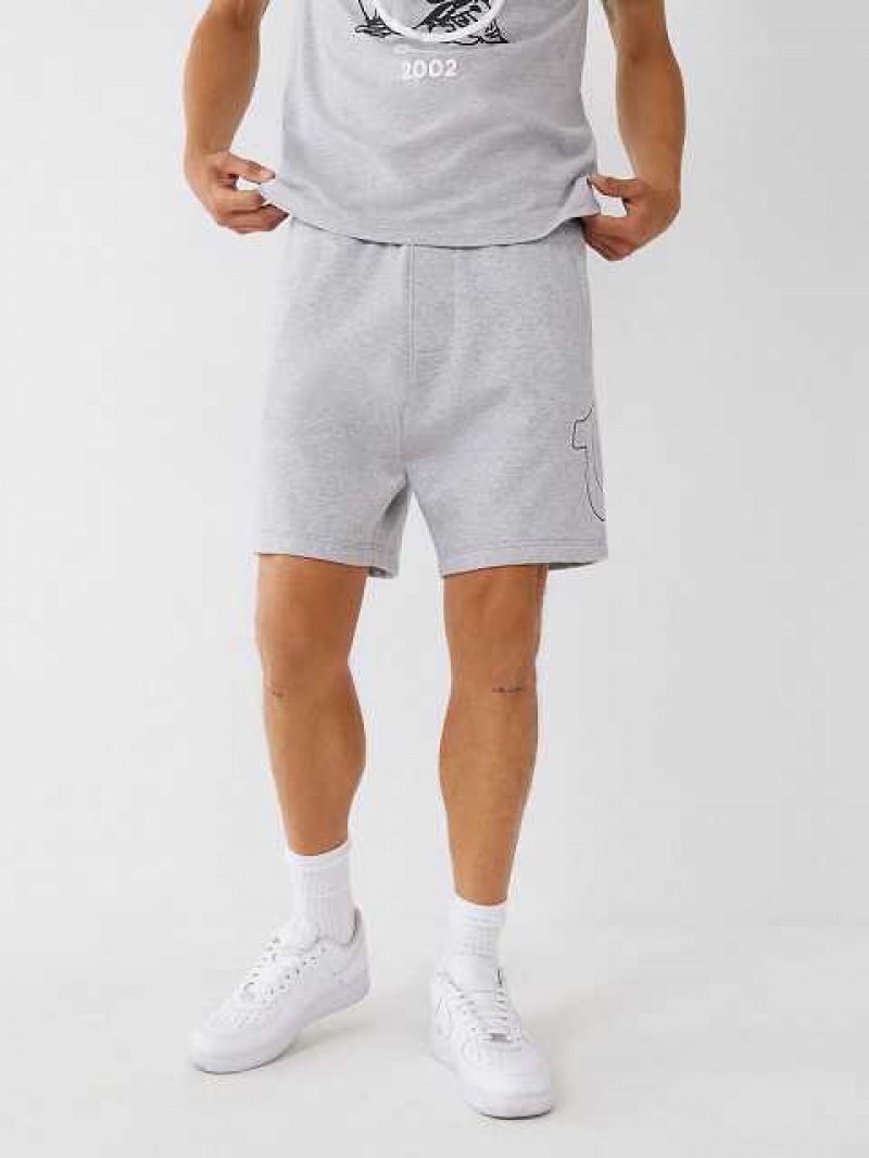 True Religion Horseshoe Sweat Shorts Herr Grå | EHI163407