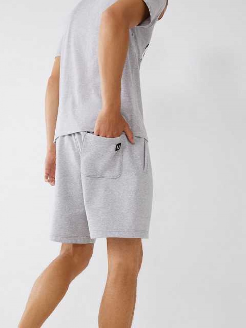 True Religion Horseshoe Sweat Shorts Herr Grå | EHI163407