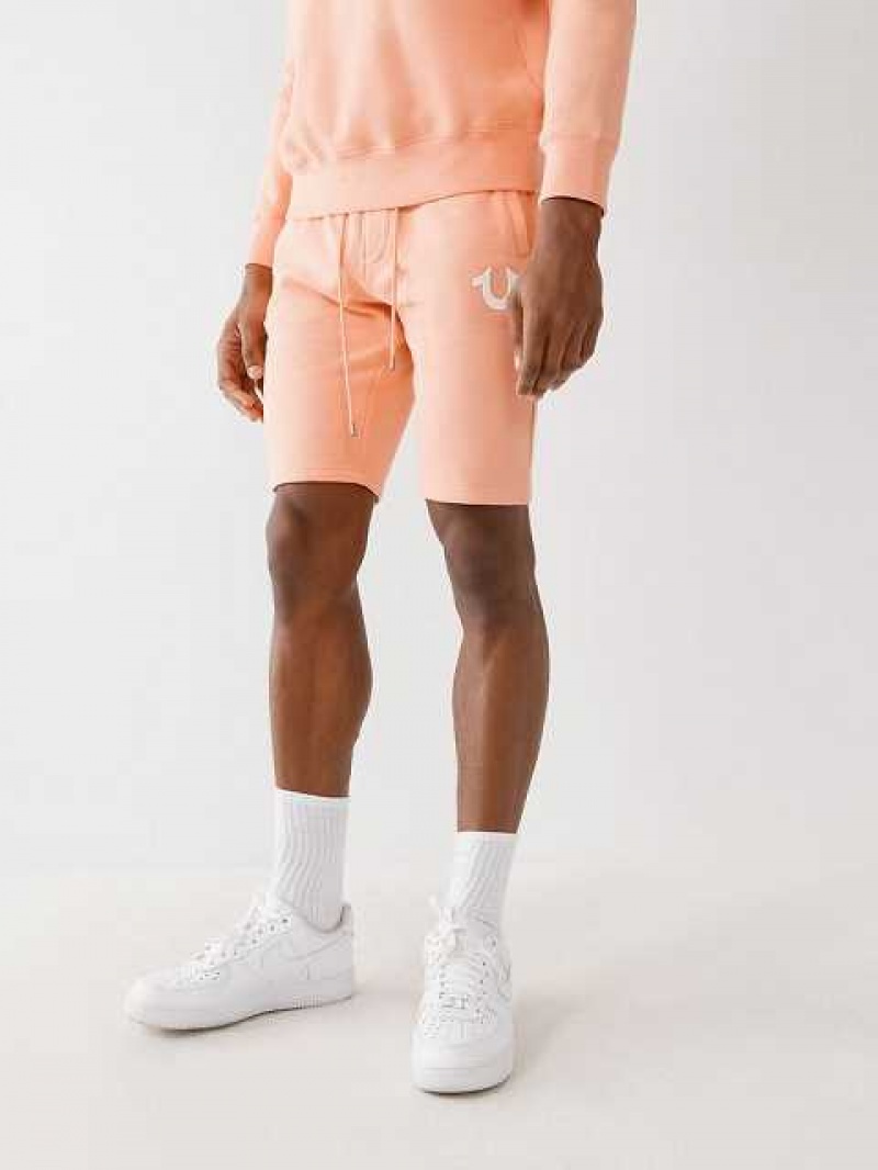 True Religion Logo Sweat Shorts Herr Orange | ETB857964