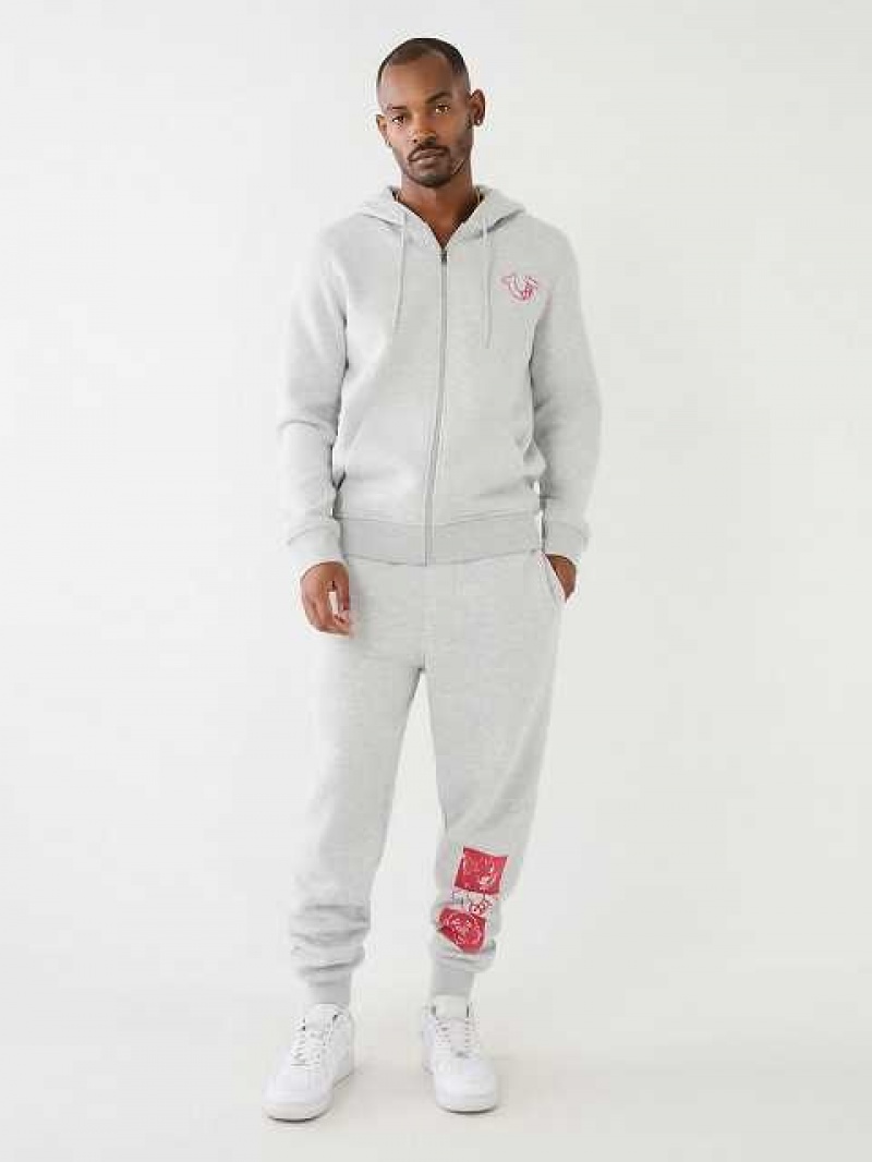 True Religion Logo Zip Hoodie Herr Grå | LSF973805