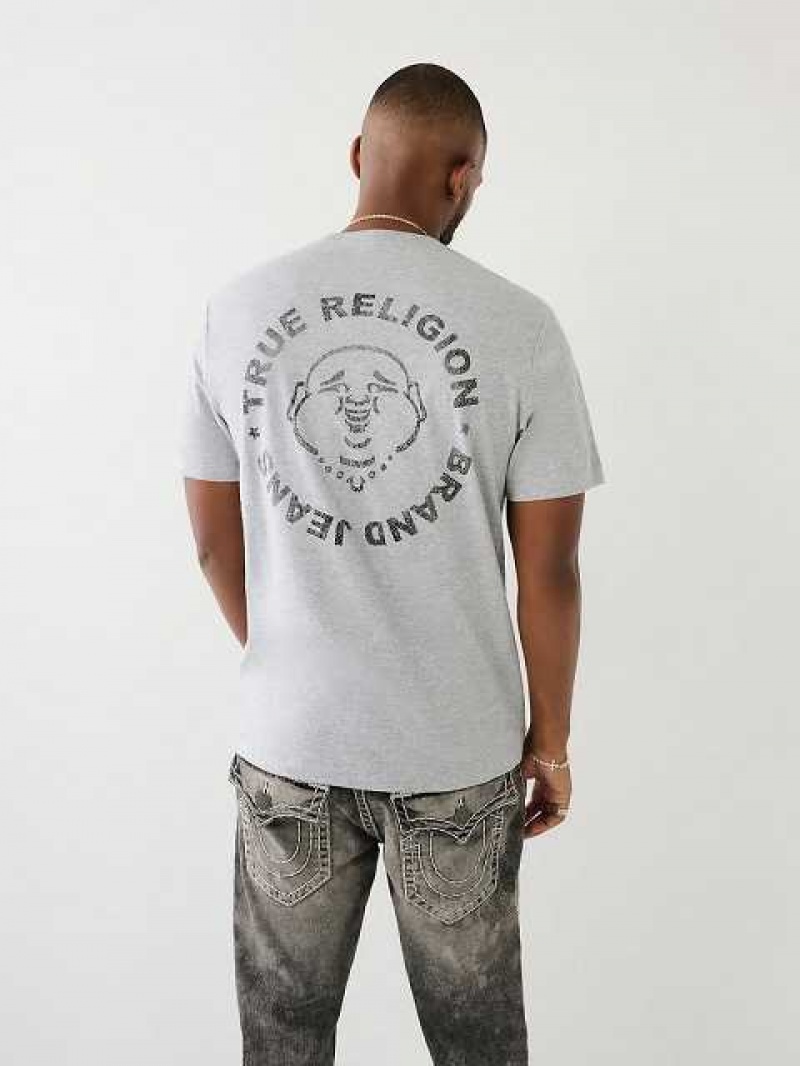 True Religion Metallic Buddha Logo Korta Sleeve T-shirt Herr Grå | CVA718053