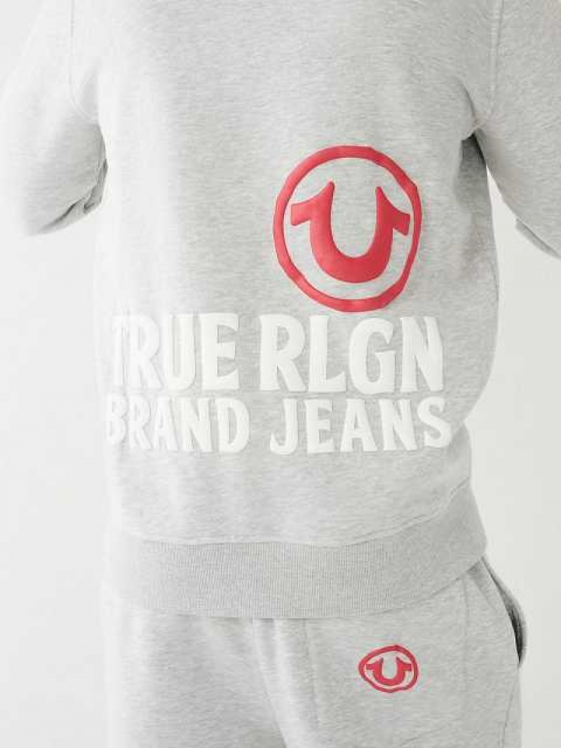 True Religion Puff Trbj Zip Up Hoodie Herr Grå | RMO134609