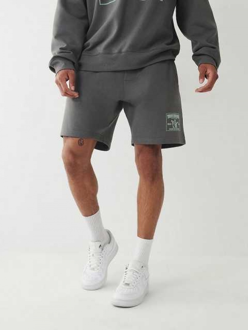 True Religion Relaxed Sweat Shorts Herr Grå | WLI618243