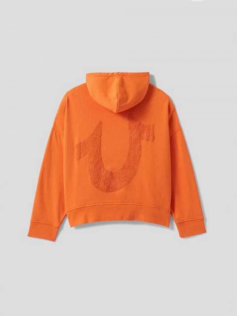 True Religion Sebastien Ami X True Religion Logo Hoodie Herr Orange | KZD809376