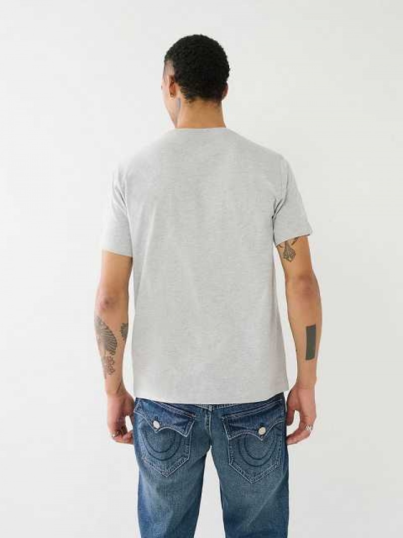 True Religion Strike Horseshoe Logo T-shirt Herr Grå | CQI435628