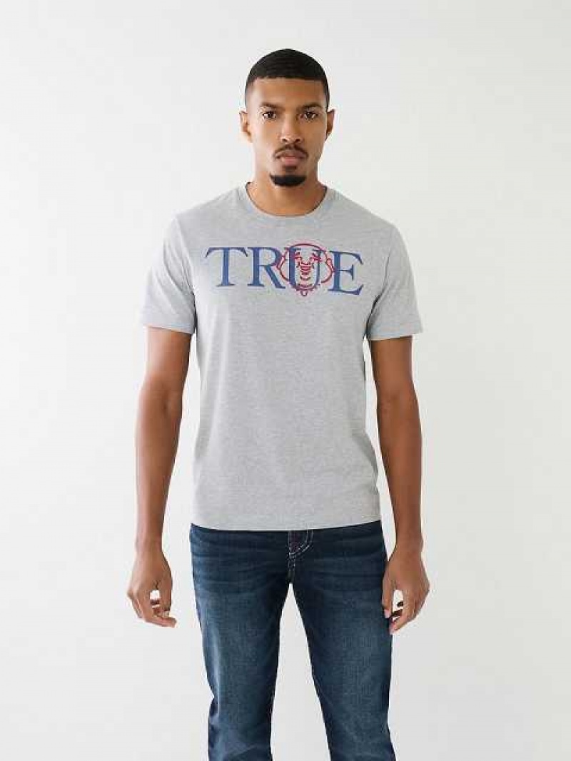 True Religion True Buddha Logo T-shirt Herr Grå | AOE173068