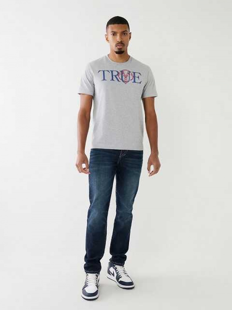 True Religion True Buddha Logo T-shirt Herr Grå | AOE173068