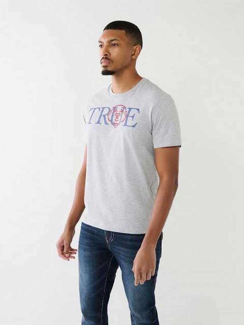 True Religion True Buddha Logo T-shirt Herr Grå | AOE173068