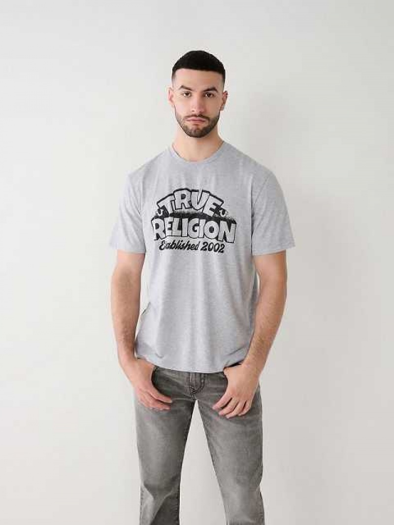 True Religion True Relaxed T-shirt Herr Grå | PNV843106