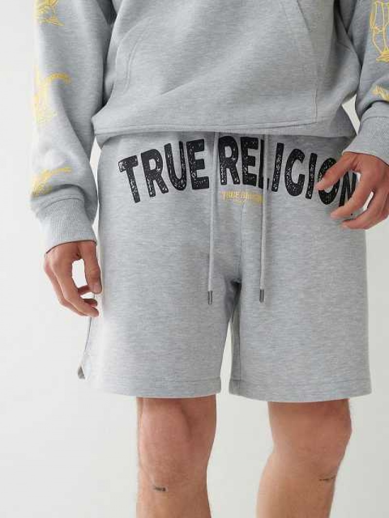 True Religion True Sweat Shorts Herr Grå | EOQ103925