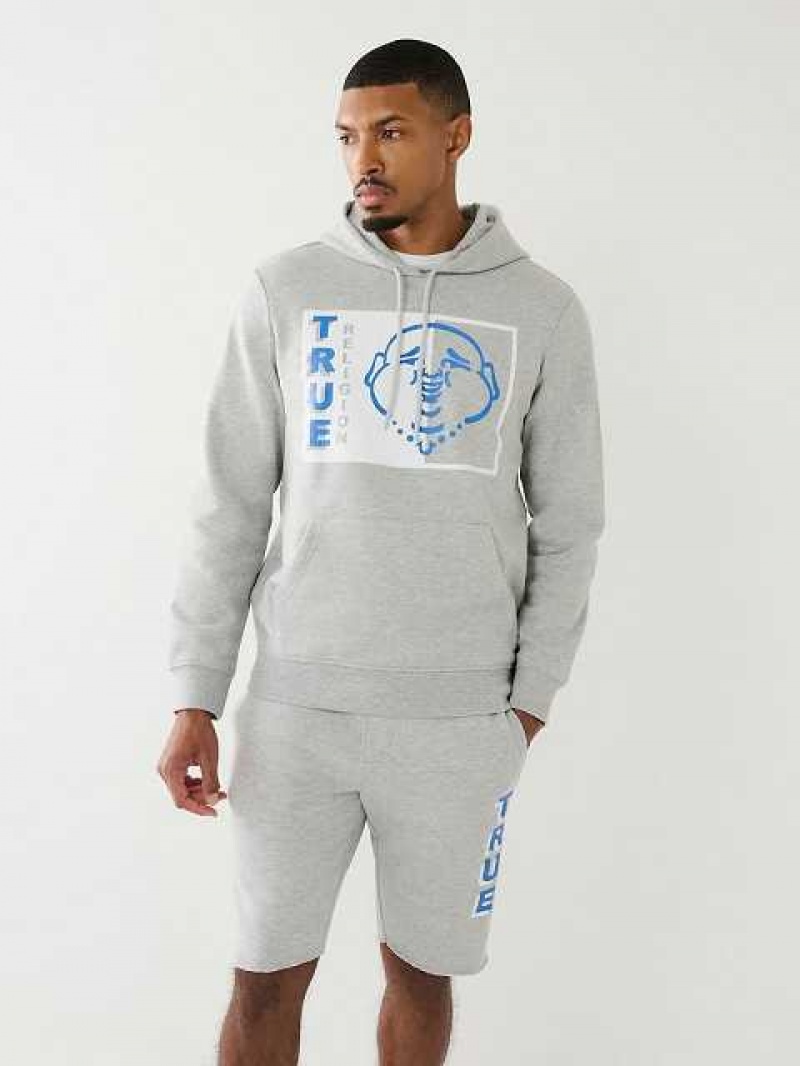 True Religion Two Tone Buddha Logo Hoodie Herr Grå | JFM637051