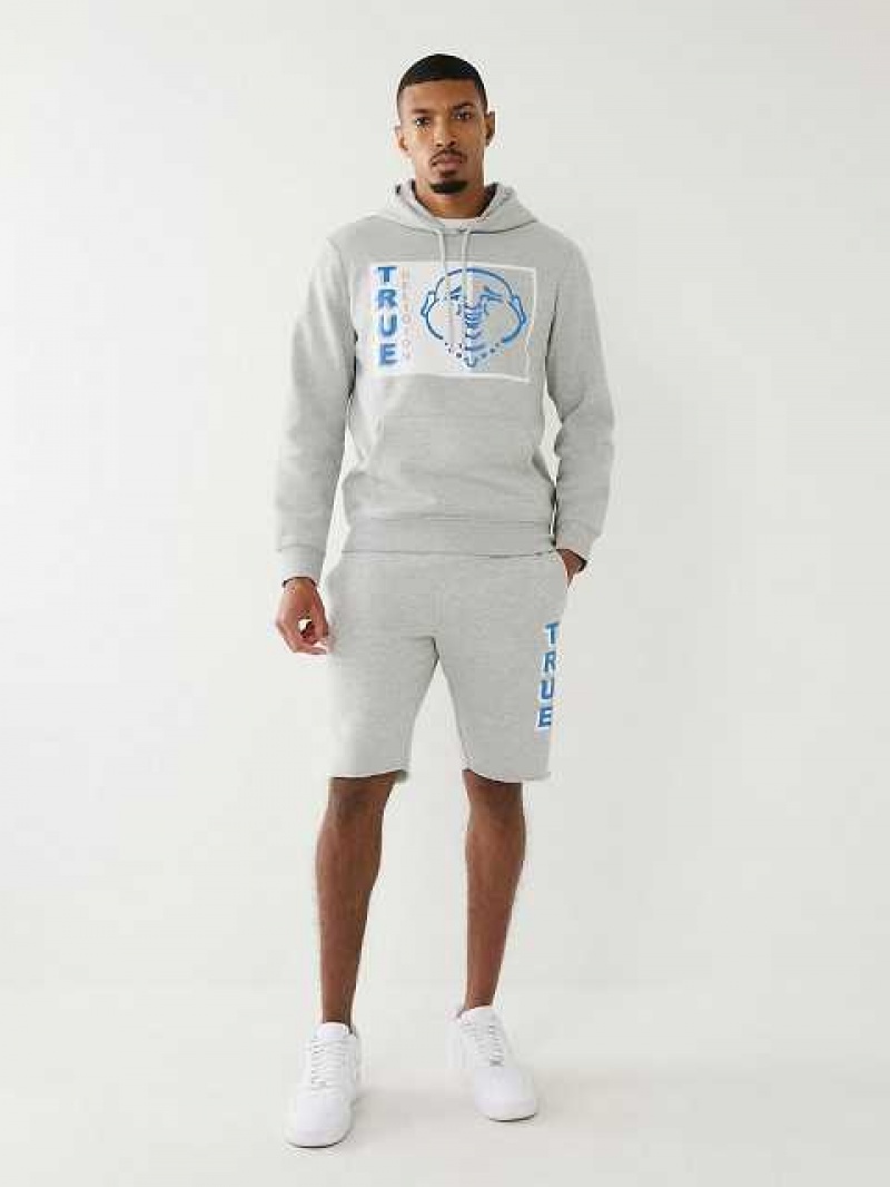 True Religion Two Tone Buddha Logo Hoodie Herr Grå | JFM637051